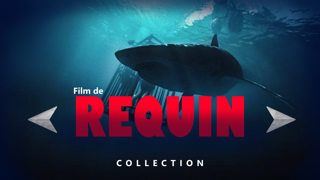 Films de Requins