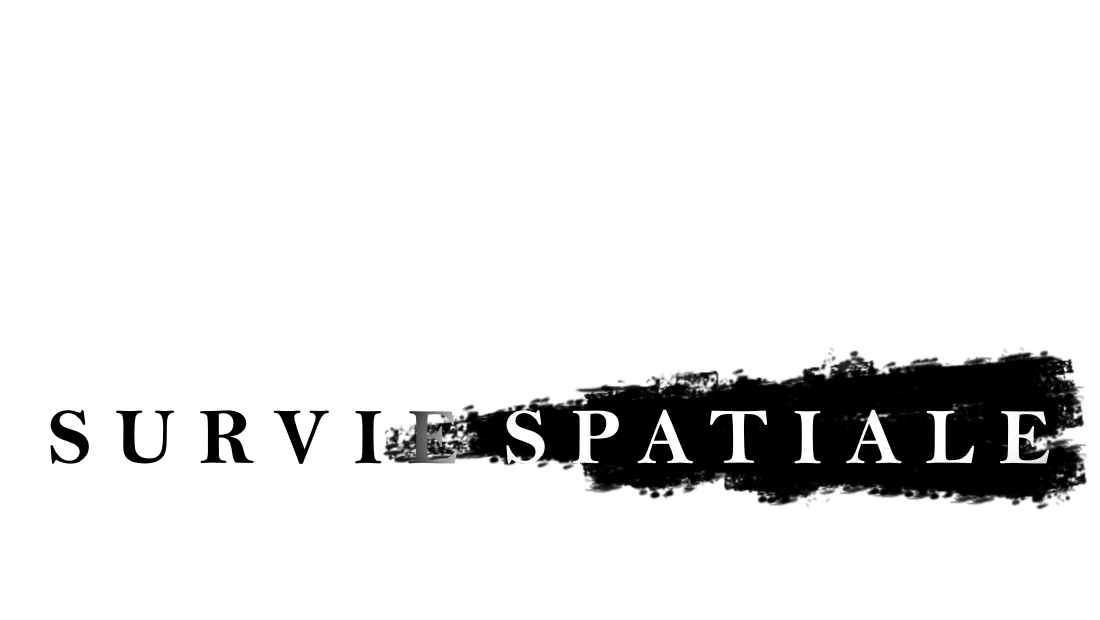 Survie Spatiale